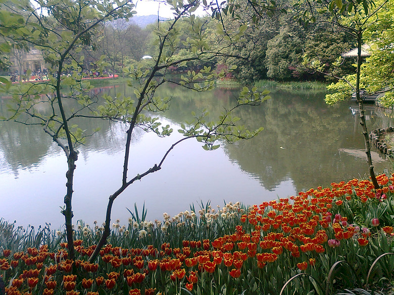 20140406����̫����  (6).jpg