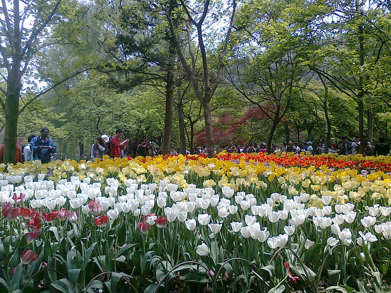 20140406����̫����  (7).jpg