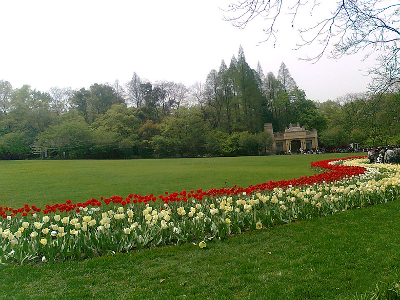 20140406����̫����  (8).jpg