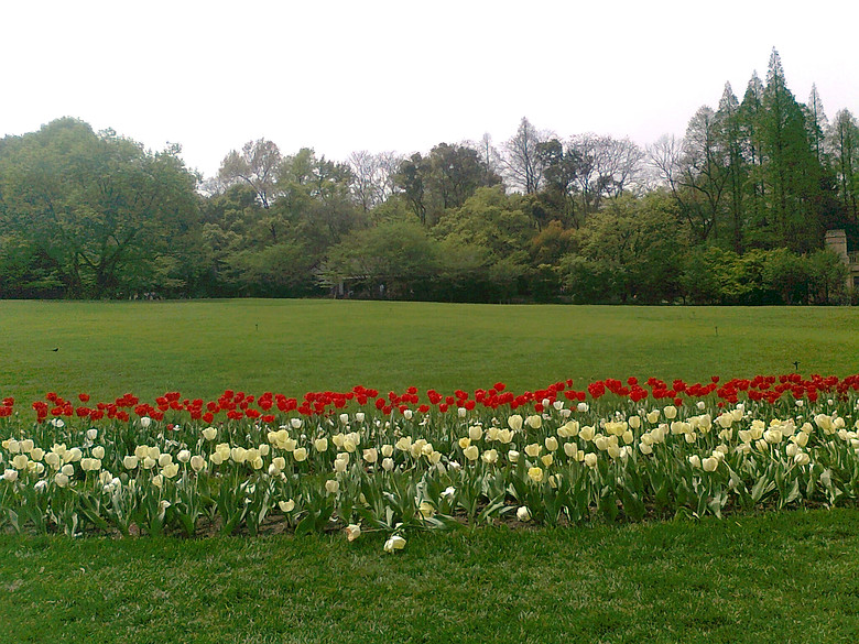 20140406����̫����  (9).jpg