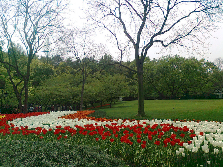 20140406����̫����  (10).jpg