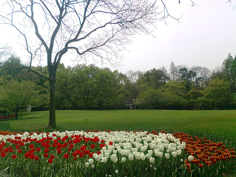 20140406����̫����  (11).jpg