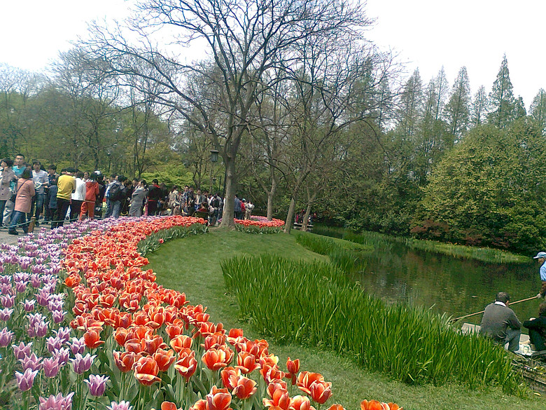 20140406����̫����  (12).jpg