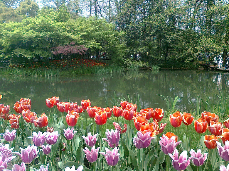 20140406����̫����  (14).jpg