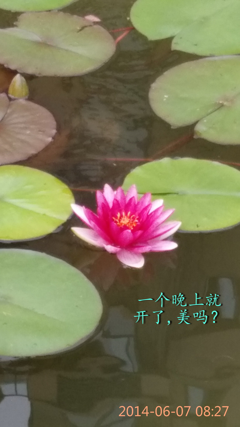 һ�����ϾͿ��� (1).jpg