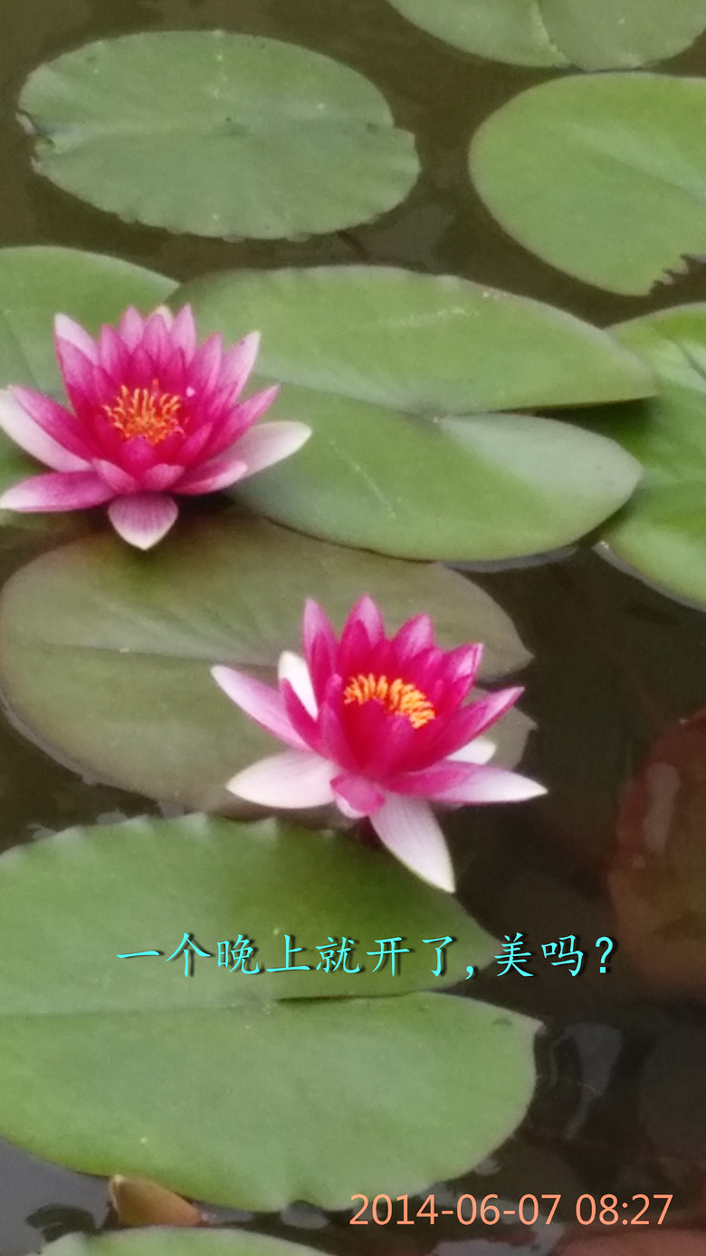 һ�����ϾͿ��� (2).jpg