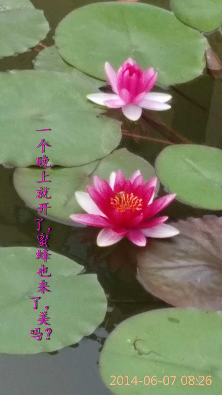 һ�����ϾͿ��� (3).jpg