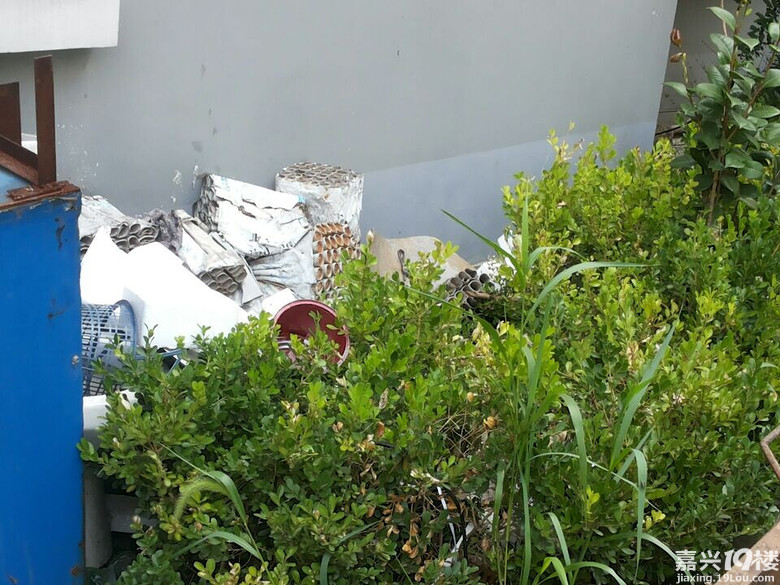 嘉兴宜家物业,你什么时候把我们的维修基金还