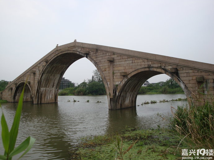 微镜头:嘉兴的桥(一)——水乡历史的传承