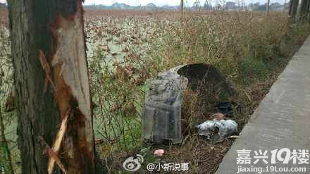江泾一藕塘内发现男尸 怀疑是无良司机撞人后