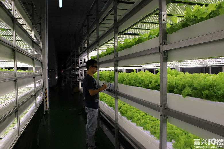 嘉兴源璟生态农业技术研发有限公司招聘-普工-月薪3000-4499-19楼嘉兴
