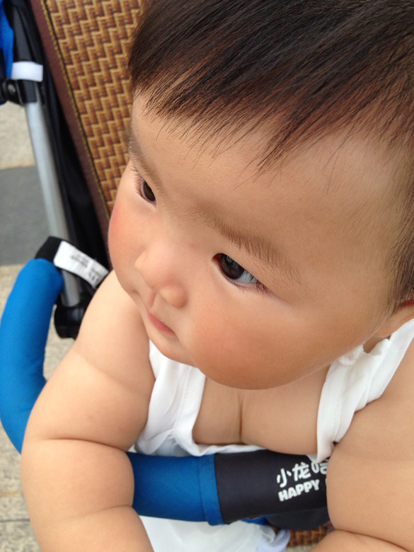 嘉兴19楼台历宝宝栗子宝宝