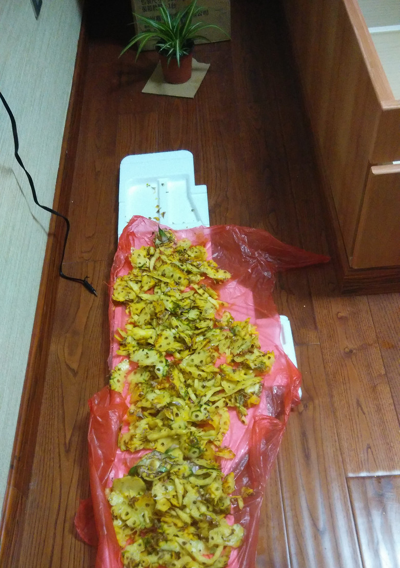 ����ȩ (2).jpg