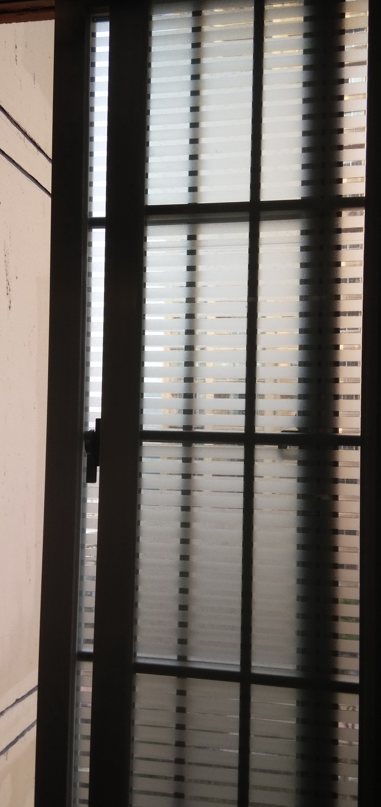 ��Ҷ���� (1).jpg