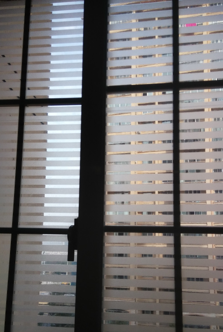 ��Ҷ���� (2).jpg