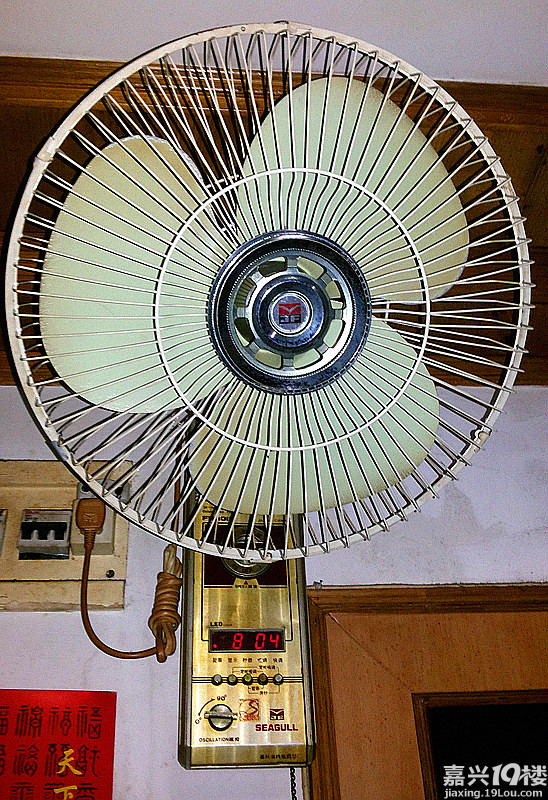 相伴三十年的海鸥 &nbsp;&nbsp;&nbsp;&nbsp;&nbsp;&nbsp; 一九八五年