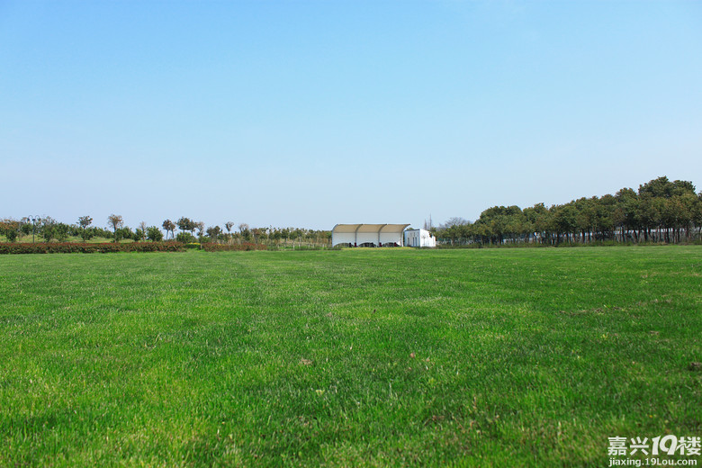 春游去哪儿duang清园生态农庄福利来袭