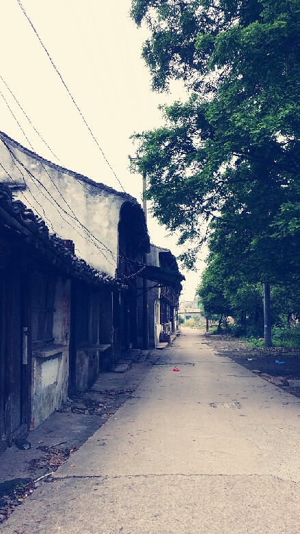 海盐沈荡老街图片