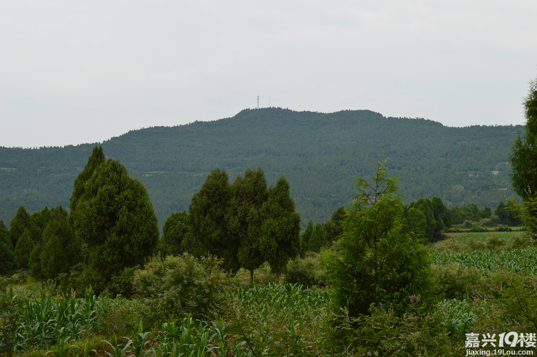 【吉时新娘日记(婚检领证)】顺便去领个证吧!-