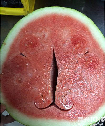 强烈申精百态人生图片奇葩人做的奇葩事