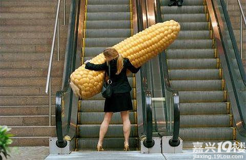 强烈申精百态人生图片奇葩人做的奇葩事