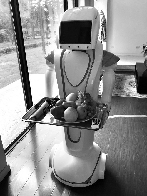 "嘉兴大白"即将露面服务类机器人会干点啥