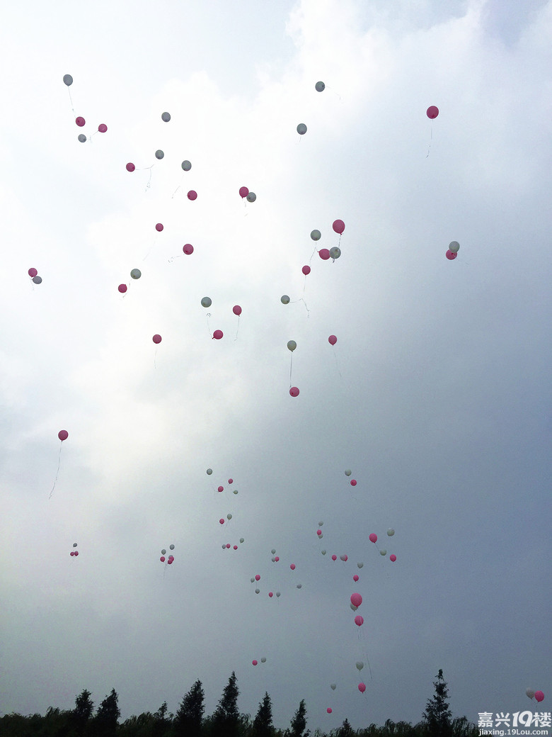 吉时草坪婚礼--特特特大大大奖来啦!