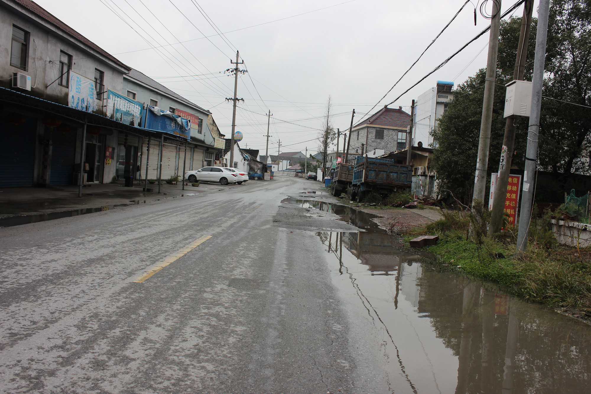 真实版"美丽乡村"新丰镇竹林村