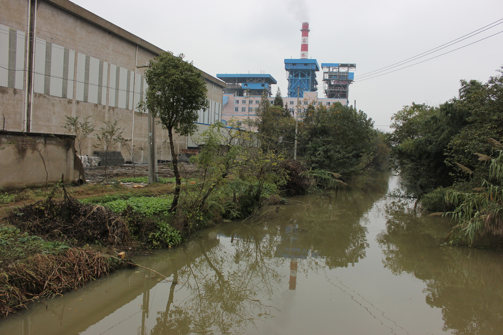 真实版"美丽乡村"新丰镇竹林村