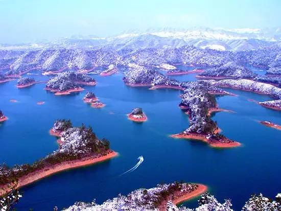 公共停车位暂停收费!菜篮子、交通.这几天杭州