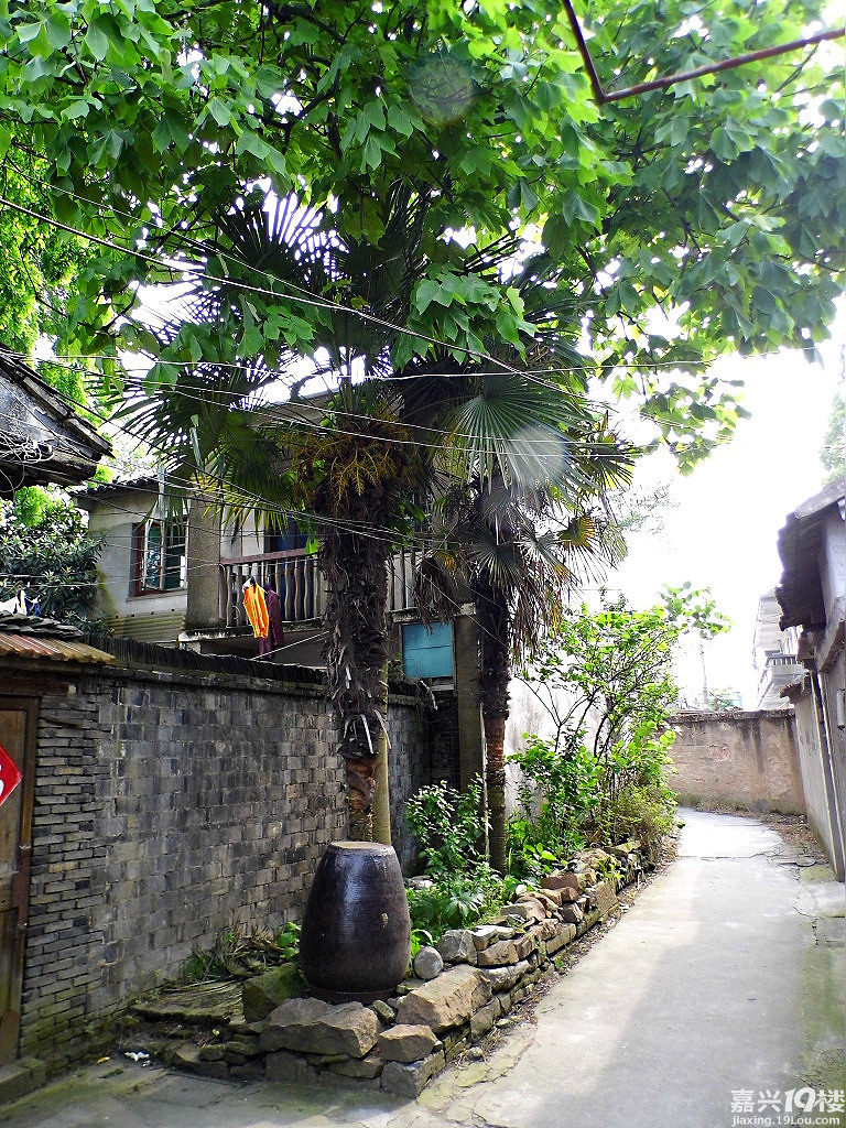 王店老地方南塘陈家弄