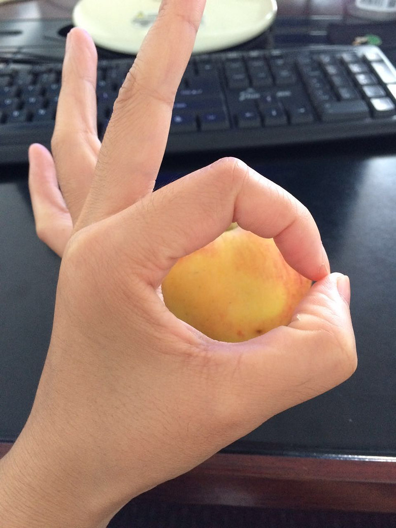 ��ɹ��ȦȦ���±���