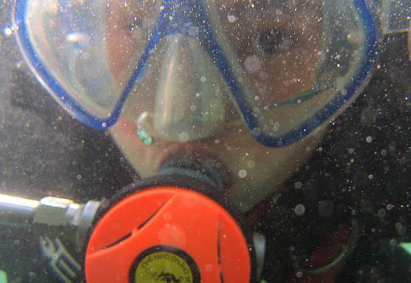 һ��ͼ֤�������˶�