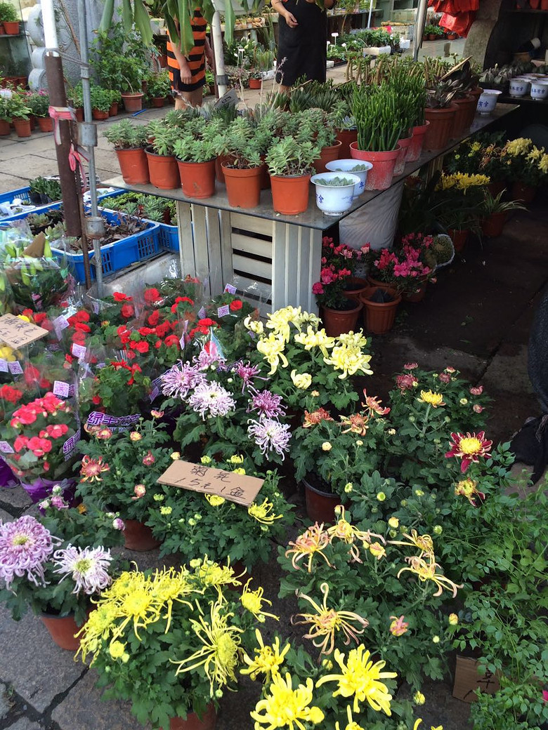 20161002���� (2).jpg