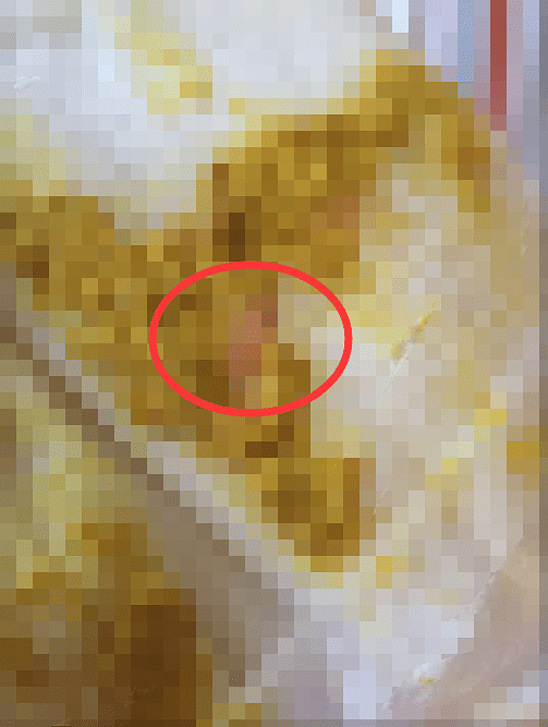 ��������27���������ִ�㲻���������䷽