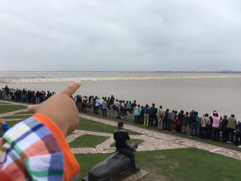 上周末带牛宝去看了下钱塘江大潮楼主发表于: 2016-10-20 15:18za