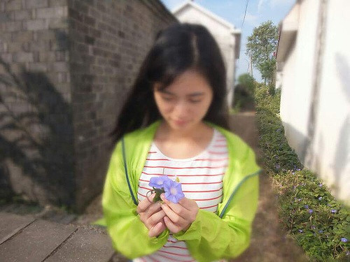 ���и�����Ӱ����Ʊ