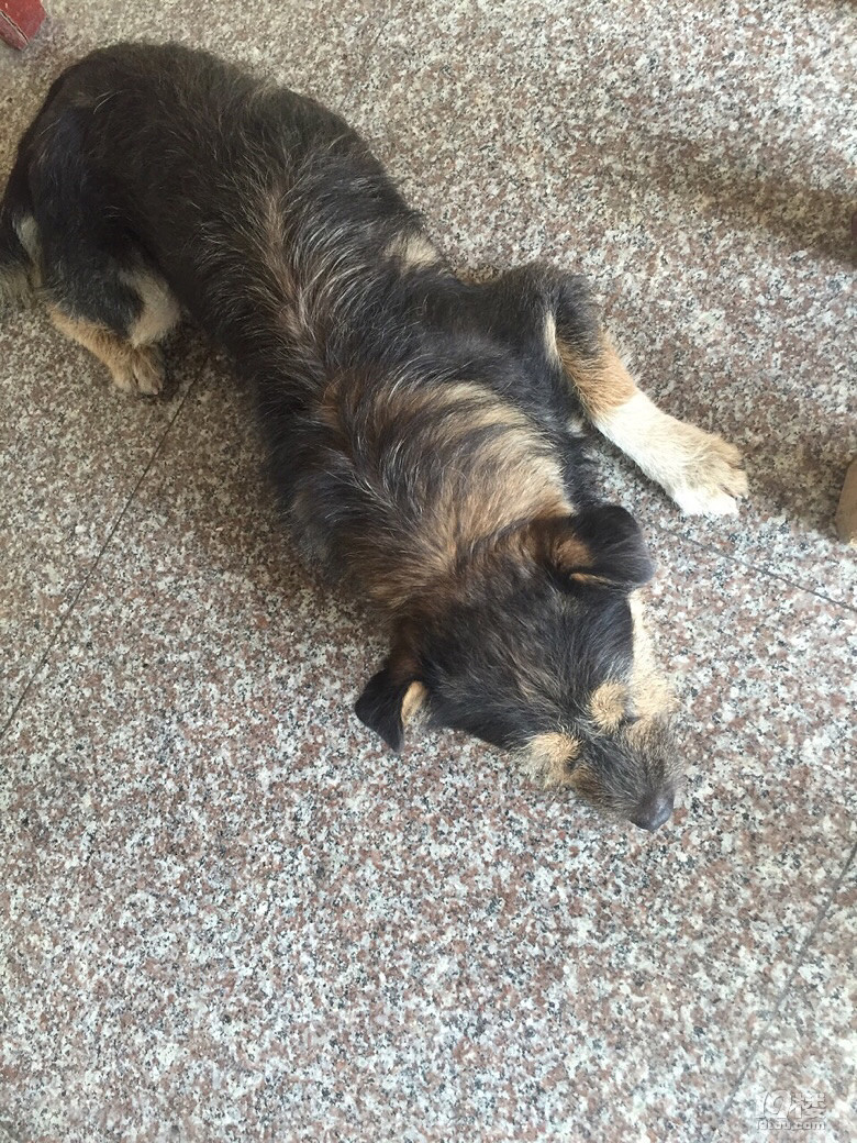 消失两天了没有你的日子里我会觉得很孤单