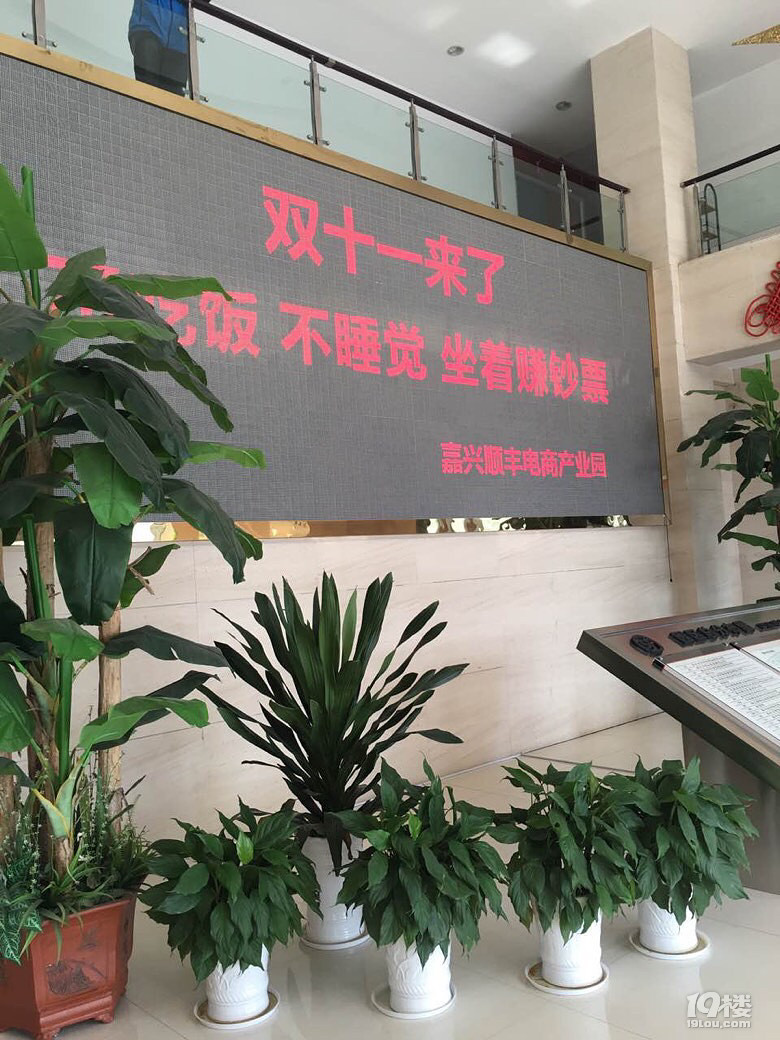 双十一嘉兴顺丰口号太屌:不吃饭不睡觉 坐着赚