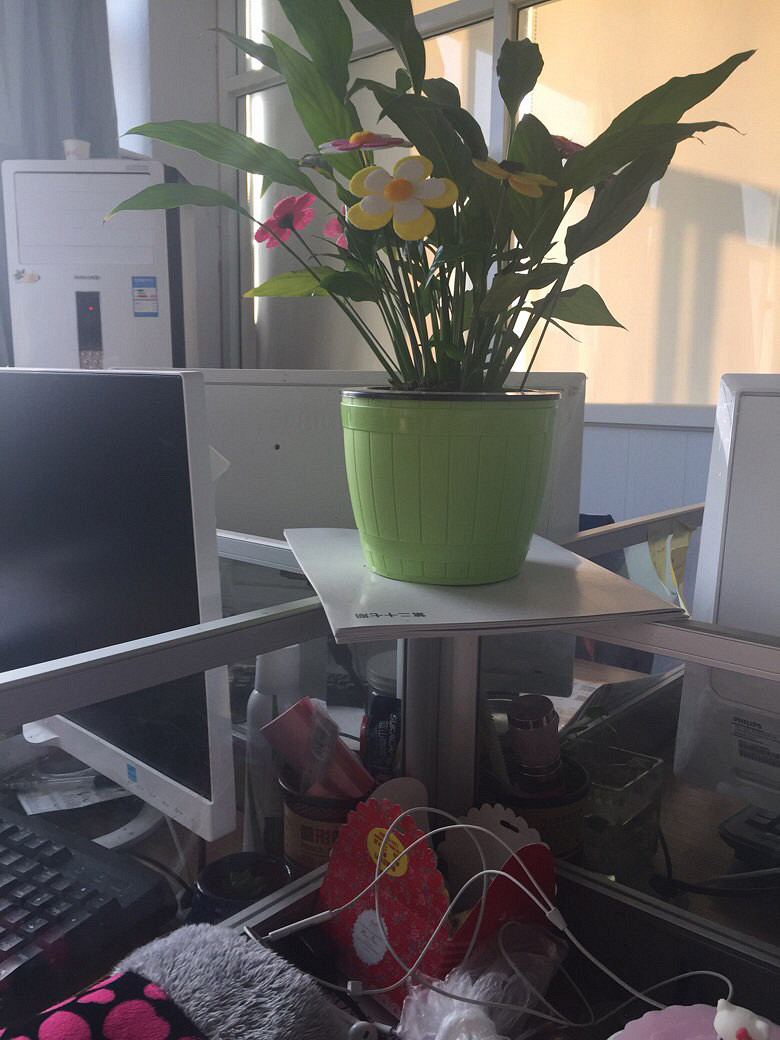 随手拍晒办公桌小张工作环境