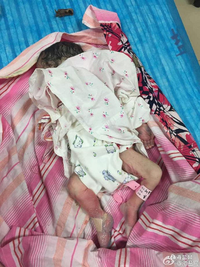 ͻ�������βݴԱ߷���һ����Ӥ �����Ѿ���������