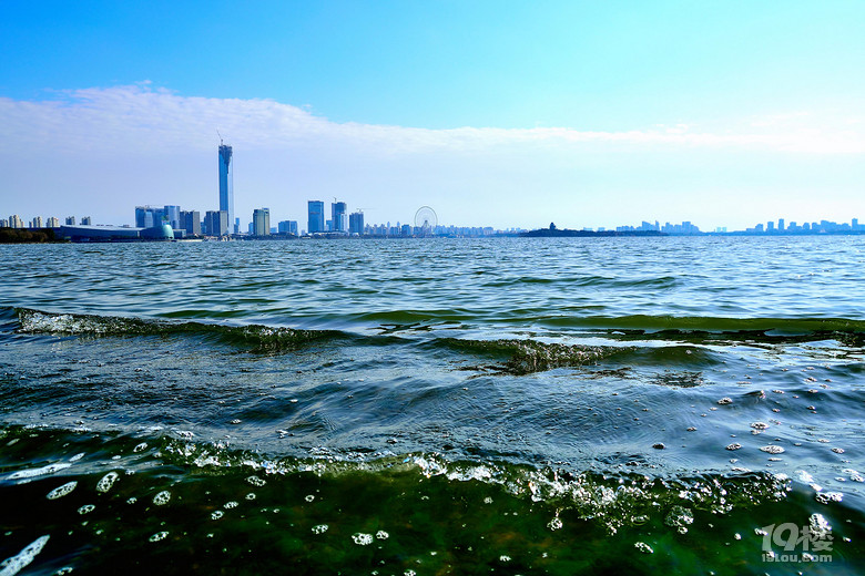 鸡年就要到名字里有鸡的地方-我拍我秀-摄影俱