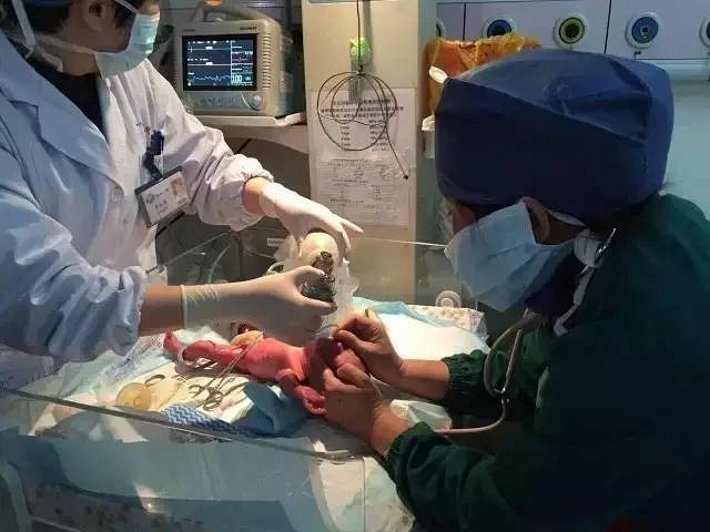 三八红旗手、最美妇女主任…原来桐乡有这么多