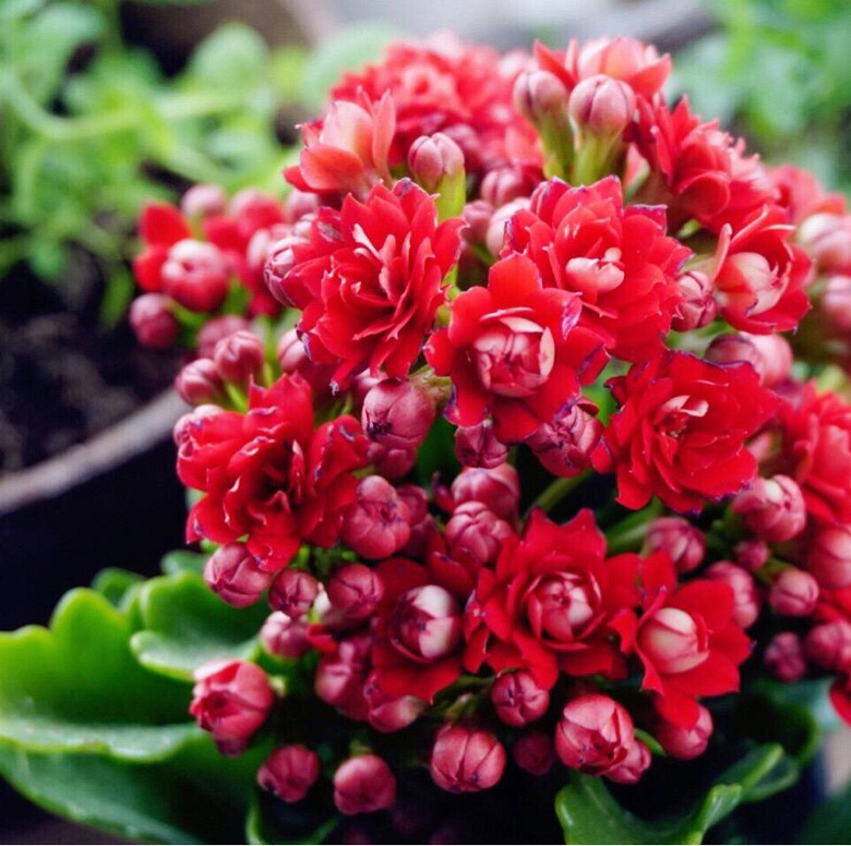 ��ů����