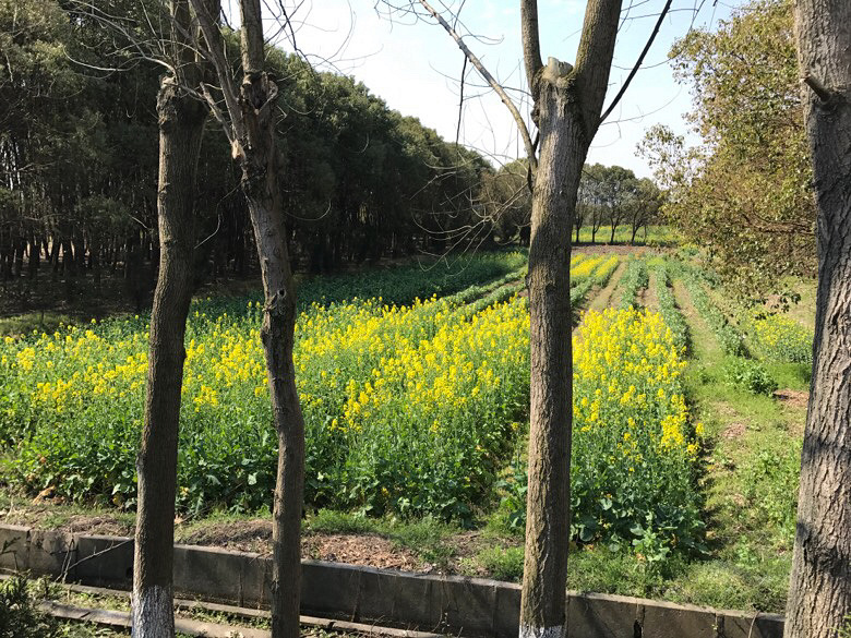 ��ҵ��̵�ɢɢ�����Ĳ��������񹤳�