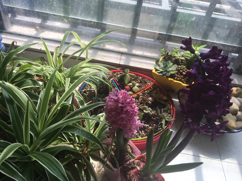 �����ӿ�����