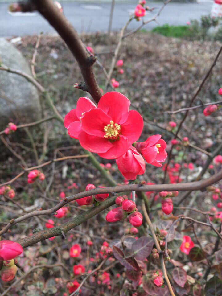 ��ů������̤���ɺ�