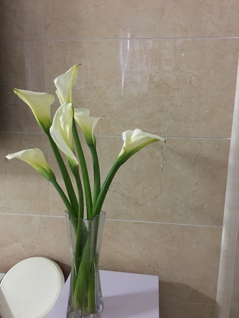 �л�����ֱ���ۣ�Ī���޻�����֦