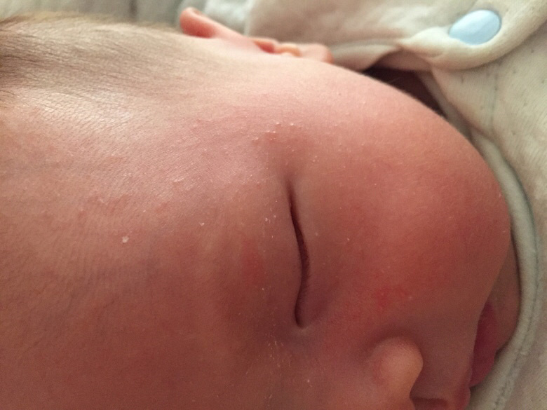 ��ʪ������������