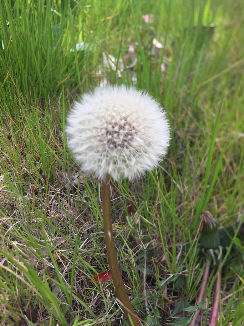 ·������